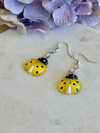 Love-a-lady beetle