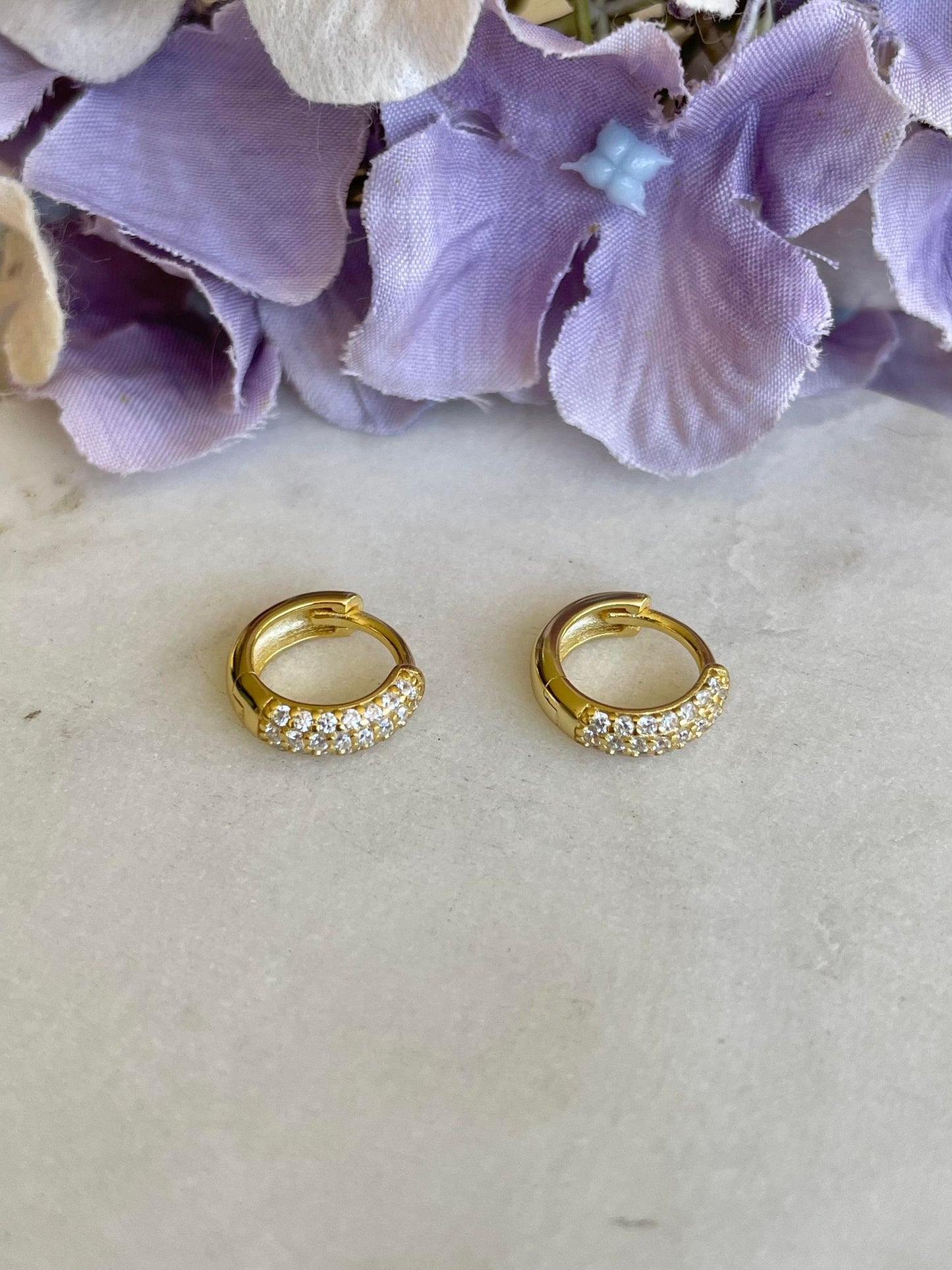 Gold Sleeper with crystal inset earrings - medium