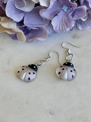Love-a-lady beetle