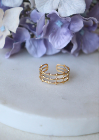 Heidi Ring