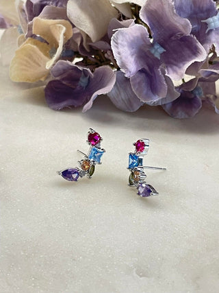 Show your colour earrings