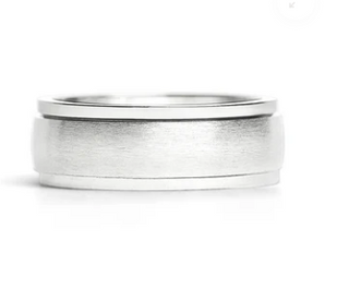 Spinner Ring - brushed silver